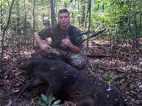 Tennessee Boar Hunting Trip