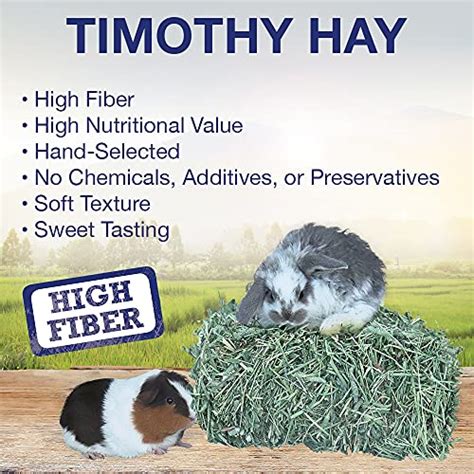 Grandpas Best Timothy Hay Mini Bale 10 Lbs Packaging May Vary