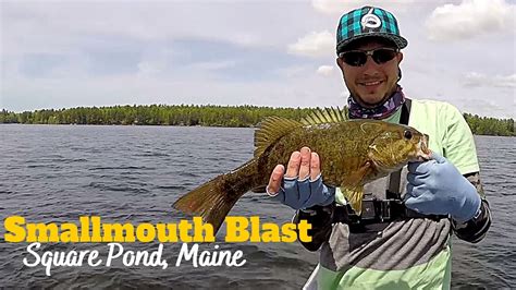 Square Pond Spawn Fishing Bass Youtube