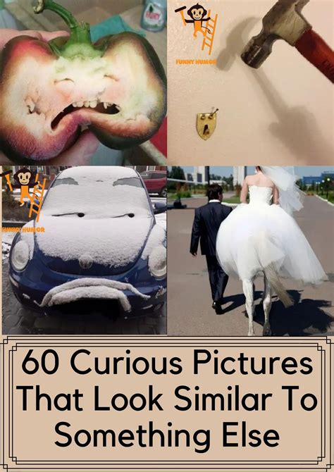 60 Photos That Look Hilariously Similar To Something Else Funny