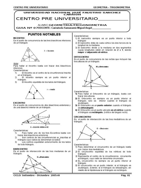 Guia De Geometria Y Trigonometria Triángulo Geometría Elemental