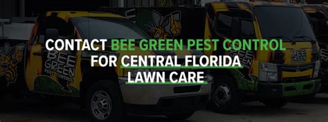 Common Florida Lawn Pest Identification Bee Green Pest Control