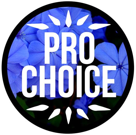 Pro Choice Quotes Tumblr Hd Pro Choice Or No Voice - Pro Choice ...