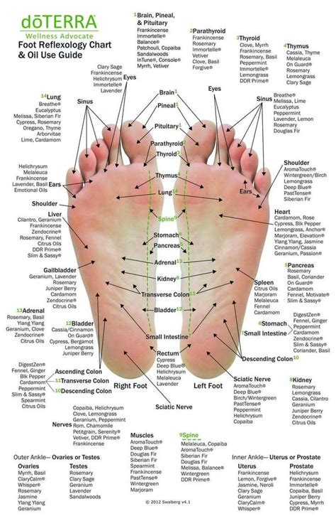 Hand And Foot Reflexology On Cardstock 85x55 Sheet Recetas De Aceites Esenciales Guía De