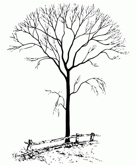 For the color option, the steam usually uses the brown color. Bare Tree Coloring Page - Coloring Home