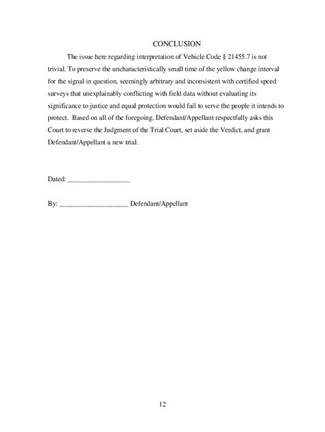 Appellate Brief Template Tutoreorg Master Of Documents
