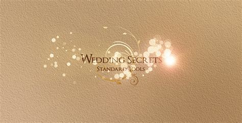 Inside the free unity lite download, you'll find our curated collection of five wedding titles, sixteen light leaks, and a video tutorial explaining how to use them in your video projects. Wedding Secrets by flashato | VideoHive