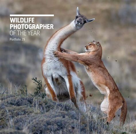 Vote For Wildlife Photographer Of The Year Win The Book Discover