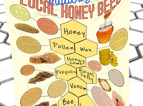 Honey Bee Hive Products Poster Its All Better