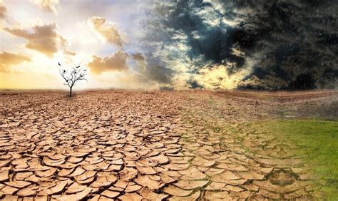 El cambio climático acelera el avance de la desertificación