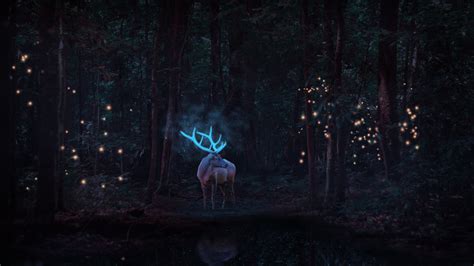 1366x768 Magical Reindeer In Forest 1366x768 Resolution Hd 4k