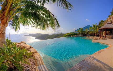 Nature Landscape Resort Swimming Pool Palm Trees Sea Tropical