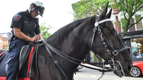 Spooked Police Horse Ran Into Traffic Because Of Girl 14 With Air