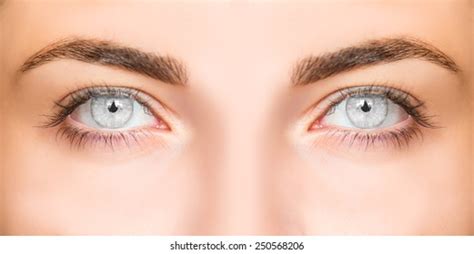 1132621 Grey Eyes Images Stock Photos And Vectors Shutterstock