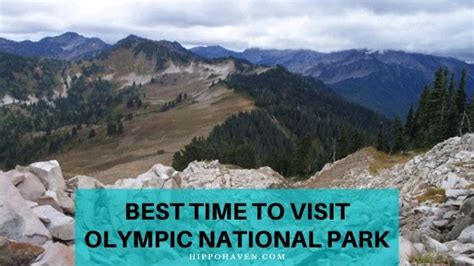 Best Time To Visit Olympic National Park Hippo Haven