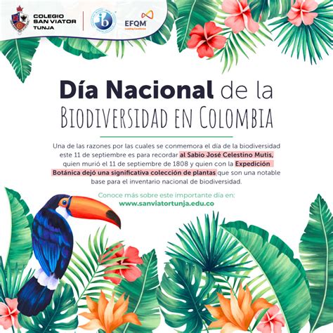 Día Nacional De La Biodiversidad En Colombia Colegio Bilingüe San