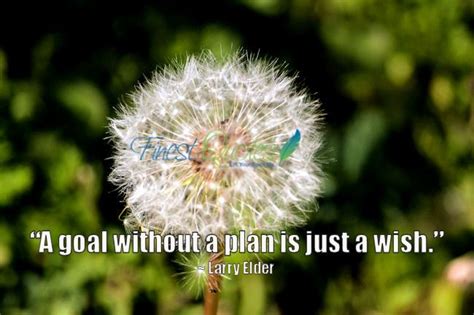 A Goal Without A Plan Is Just A Wish Larry Elder Inspirational