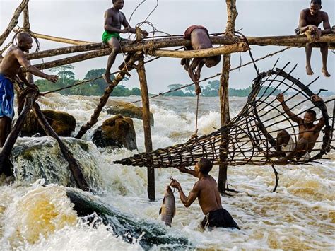 Rapid Catch Congo River National Geographic Photos Congo
