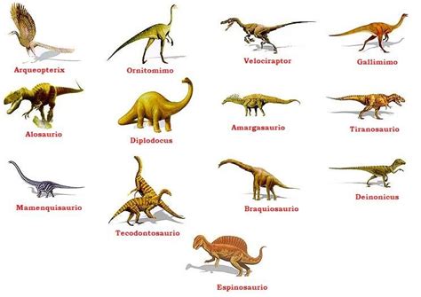 Dinosaurios Lo Que Querias Saber Tipos De Dinosaurios Nombres De