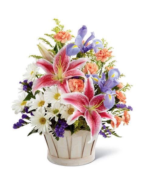 Wondrous Nature Pinkerton Flowers Free Delivery