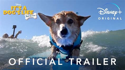 Its A Dogs Life Official Trailer Disney Youtube