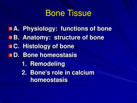 Ppt Bone Tissue Powerpoint Presentation Free Download Id6736763