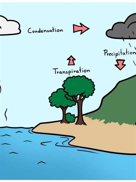 Easy Water Cycle Step By Step Drawing Tutorial Easy Drawing Guides