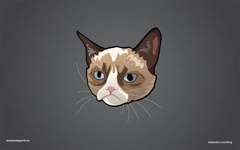 Grumpy Cat Iphone Wallpaper Wallpapersafari