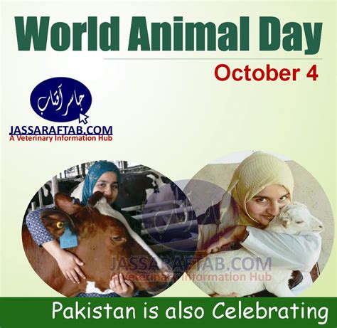 World Animal Day Pakistan A Veterinary Information Hub