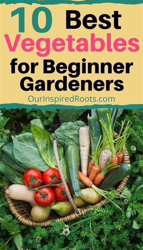 Want To Learn The Best Vegetables For Beginner Gardening This List