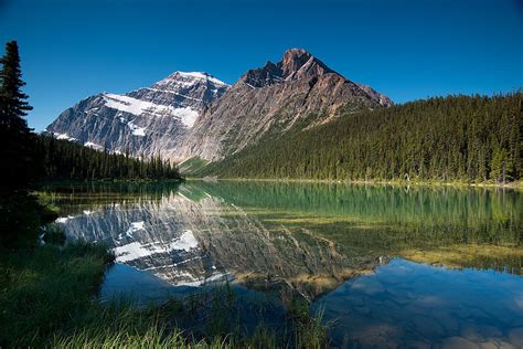 Mount Edith Cavell Reflected In Cavell Lake Jasper National Park