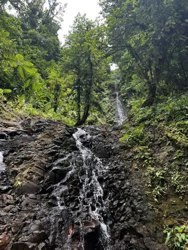 10 Best Hikes And Trails In Guadeloupe National Park Alltrails