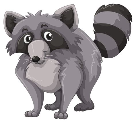 Raccoon Face Free Vector Art 3328 Free Downloads