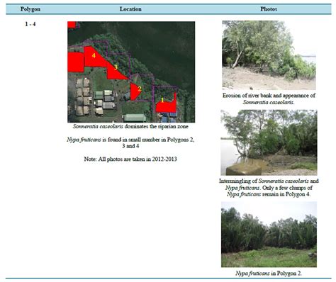 Characterizing A Populated Riparian Zone