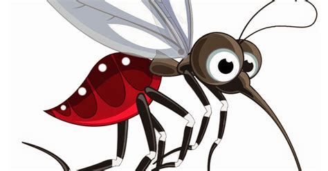 Mosquito Png Transparent Picture Png Mart