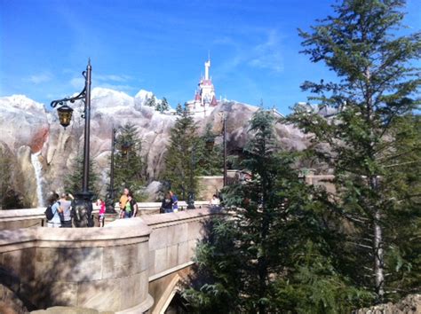 Review The Enchanted Forest At The Magic Kingdom