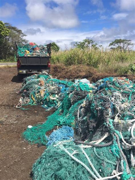 Hawaii Wildlife Fund Collects Over 250 Tons Of Marine