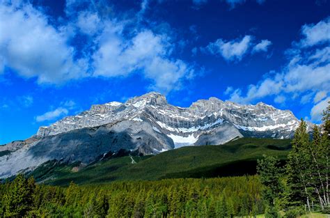 banff, Alberta, Canada, Forest Wallpapers HD / Desktop and ...