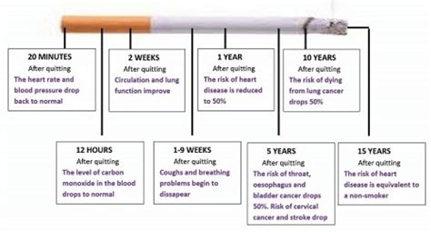 Benefits Of Quitting Smoking Diagram