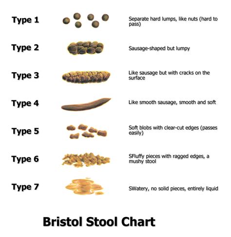 Bristol Stool Chart Color Stools Item