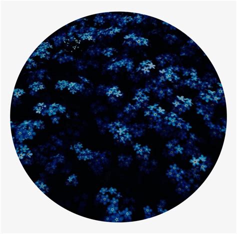 Download Blue Darkblue Circle Aesthetic Flowers Freetoedit Aesthetic