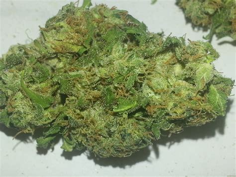 Strain Gallery Afghan Kush White Label Pic 20061475180230168 By