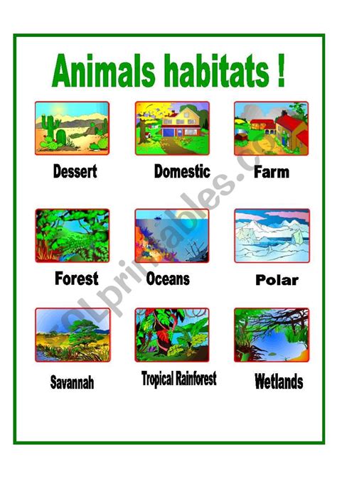 Pdf Online Worksheet Habitats Animal Habitats Interactive Worksheet