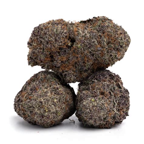 Purple Crack Cannabismo Buy Weed Online Canada Dispensary