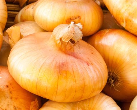 10 Different Types Of Onions And When To Use Them | Lifestyles ...