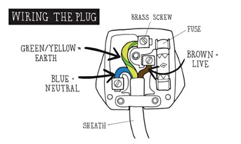 Label the part of the plug diagram from 1 through 5. How to mend ... a faulty table lamp | Life and style | The ...