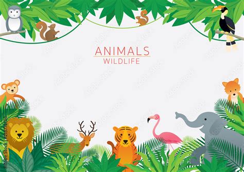 Vecteur Stock Wild Animals In Jungle Frame Kids And Cute Cartoon