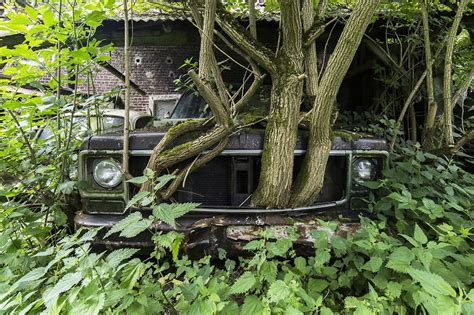 World Without Humans Stunning Pictures Show The Post Apocalyptic