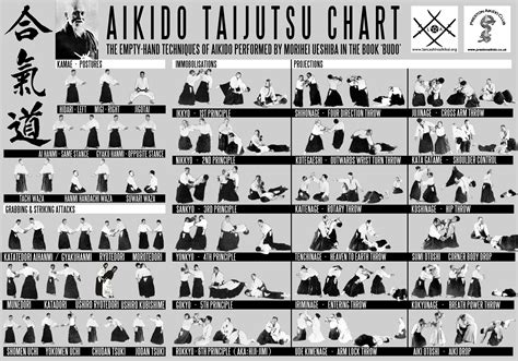 Instead, the best path was to learn the most effective techniques possible regardless of where they come from. Aikido technical chart Link: http://dojosangai.it/wp ...
