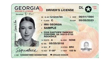 Georgia Drivers License Check Populargawer